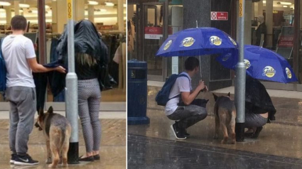 Illustration :  Le beau geste d’un couple envers un Berger Allemand qui ne peut se protéger de la pluie