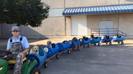 Illustration : Un homme construit un petit train pour les chiens abandonnés qu'il recueille