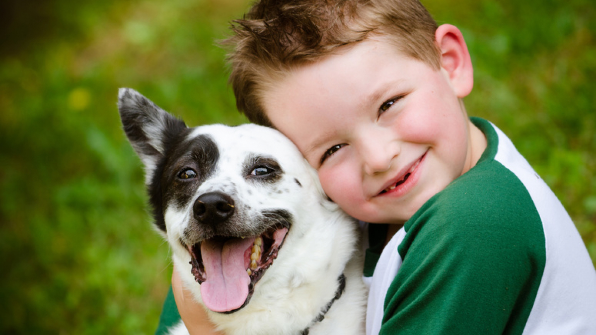 Les relations entre l'enfant et le chien : construire des bases saines