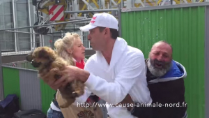 Illustration : Le chiot volé par une association pourrait être rendu au SDF ! 