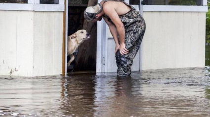 Illustration : Un homme sauve un chien des inondations et l'adopte