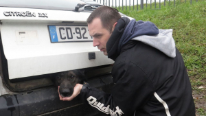 Illustration : Le propriétaire d’un chien condamné pour l’avoir laissé dans le coffre de sa voiture