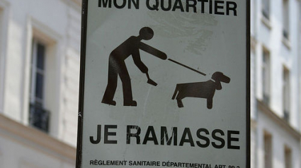 Illustration : Irlande : des lampadaires parlants pour lutter contre les déjections canines