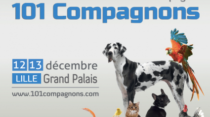 Illustration : Le Salon des Animaux de Compagnie s'expose à Lille du 12 au 13 décembre 2015 !