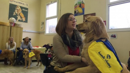 Illustration : Alençon : 10 personnes handicapées font connaissance avec leur nouveau chien d'assistance !