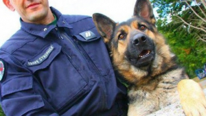 Illustration : "Un chien de la Gendarmerie retrouve un pensionnaire de maison de retraite qui s’était égaré"