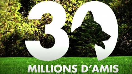 Illustration : France 3 annonce la fin de l'émission emblématique &quot;30 Millions d'amis&quot; en juin prochain !