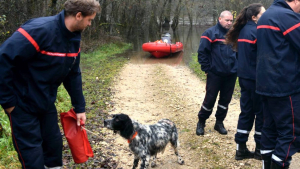 Illustration : Lot : Les pompiers sauvent un chien et les 3 chasseurs qu’il accompagnait