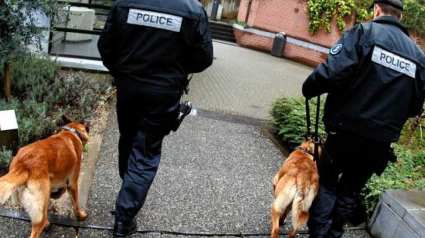 Illustration : Belgique : quand la Police de Charleroi recrute ses agents canins auprès de la SPA