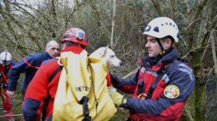 Illustration : Somme : les sapeurs-pompiers du GRIMP portent secours à un chien tombé dans un puits