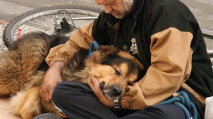 Illustration : 9 photos émouvantes de SDF et de leurs chiens qui montrent que la loyauté canine est inconditionnelle