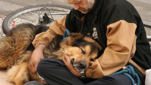 Illustration : "9 photos émouvantes de SDF et de leurs chiens qui montrent que la loyauté canine est inconditionnelle"