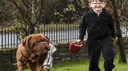 Illustration : Ce chien se plaçait toujours à la droite de son jeune ami humain. Il lui découvre une maladie !