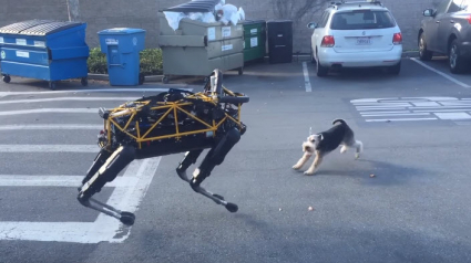 Illustration : La réaction d’un Fox Terrier face à un robot-chien