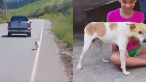 Illustration : "Un homme voit une vidéo d'un chien abandonné par un automobiliste. Il le retrouve et l’adopte"