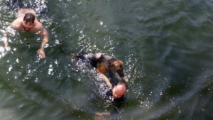 Illustration : Nîmes : il passe 20 minutes dans l’eau froide pour sauver son chien