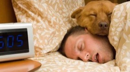 Illustration : 5 raisons pour lesquelles dormir avec son chien, c’est top ! 