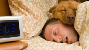 Illustration : "5 raisons pour lesquelles dormir avec son chien, c’est top ! "