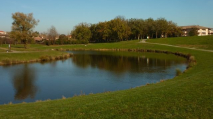 Illustration : Colomiers : une promeneuse retrouve un chien décapité et éviscéré dans un parc !