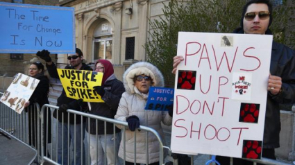 Illustration : Etats-Unis : Chien abattu par un policier dans le Bronx :les manifestants protestent devant le commissariat