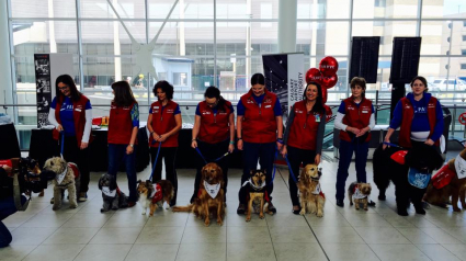 Illustration : A l’aéroport de Calgary, les chiens sont là pour réconforter les passagers anxieux