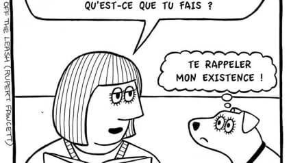 Illustration : 21 dessins décrivant la vie de chien avec beaucoup d’humour ! 