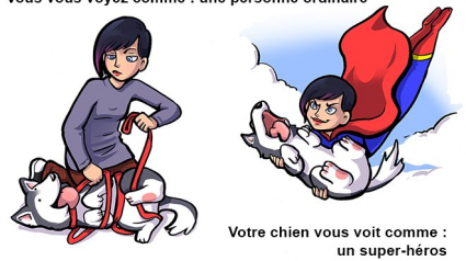 Illustration : 11 dessins qui prouvent que nos chiens nous adorent ! 