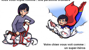 Illustration : "11 dessins qui prouvent que nos chiens nous adorent ! "