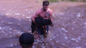 Illustration : "Utah : un homme n'hésite pas à plonger dans les eaux glacées pour sauver une chienne"