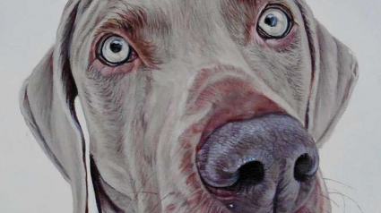 Illustration : 16 portraits de chiens ultra réalistes !