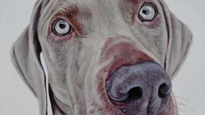 Illustration : 16 portraits de chiens ultra réalistes !