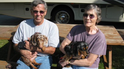 Illustration : Herbie, chien aveugle, et Hilda son amie chienne guide ont enfin trouvé un foyer ensemble