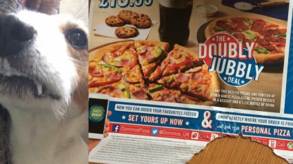 Illustration : Domino's Pizza : Un chien avale leur prospectus et se retrouve avec la gueule collée plusieurs heures !