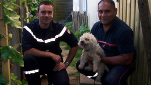 Illustration : Auray (56) : les sapeurs-pompiers libèrent un chien pris au piège sous terre