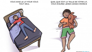 Illustration : 7 différences entre le quotidien des personnes qui aiment les chiens et celles qui en ont