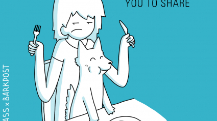 Illustration : 10 précieuses leçons de vie que nous donnent nos chiens