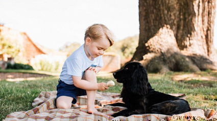 Illustration : Kate et William accusés de « cruauté envers les animaux » suite à la photo officielle de l’anniversaire du petit George