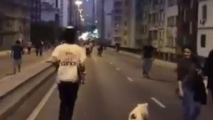 Illustration : Un chien skateur dans les rues de Sao Paulo (Vidéo) 