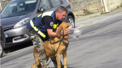 Illustration : Ille-et-Villaine (35) : un septuagénaire égaré a été retrouvé grâce à un chien pisteur