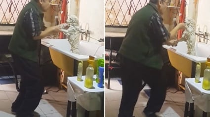 Illustration : Un toiletteur danse avec un de ses clients et porte secours aux chiens en détresse