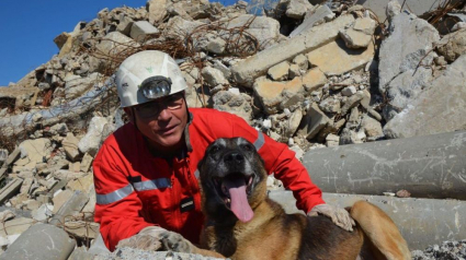 Illustration : Ulis, un Malinois, est officiellement devenu le plus vieux chien pompier de France