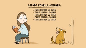 Illustration : 10 images amusantes qui illustrent les habitudes de vos chiens 