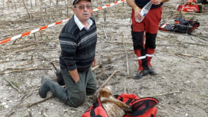 Illustration : Brossac (16) : Un chien de chasse grièvement blessé après être tombé dans un puits 