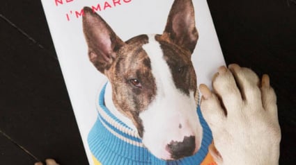 Illustration : Le créateur de mode Marc Jacobs publie un livre sur son Bull Terrier