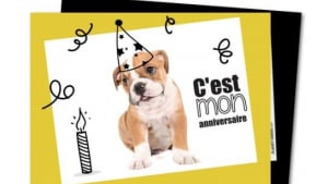 Illustration : Des faire-part pour chien 