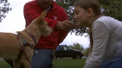 Illustration : Une fillette sauve une petite chienne en la rapatriant de Corée du Sud, où elle devait être abattue