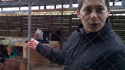 Illustration : Comme Rémi Gaillard, une jeune femme s’enferme dans une cage pour encourager l'adoption des animaux !