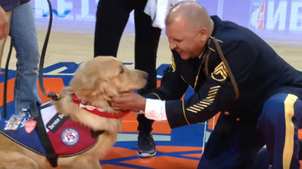 Illustration : New-York : Un ancien militaire rencontre par surprise son chien d'assistance à un match de basket de NBA !