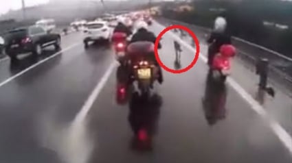 Illustration : Turquie : des motards escortent un chien errant pour le sécuriser