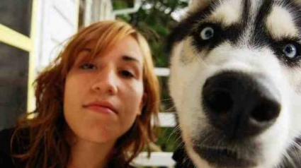 Illustration : 27 selfies de chiens hilarants